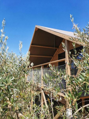 Glamping e Camere CirelliWines Abruzzo Citta' Sant'angelo